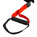 trx3.webp