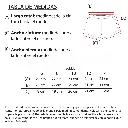 ShortDots3.webp