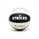 strikerbicolor4.webp