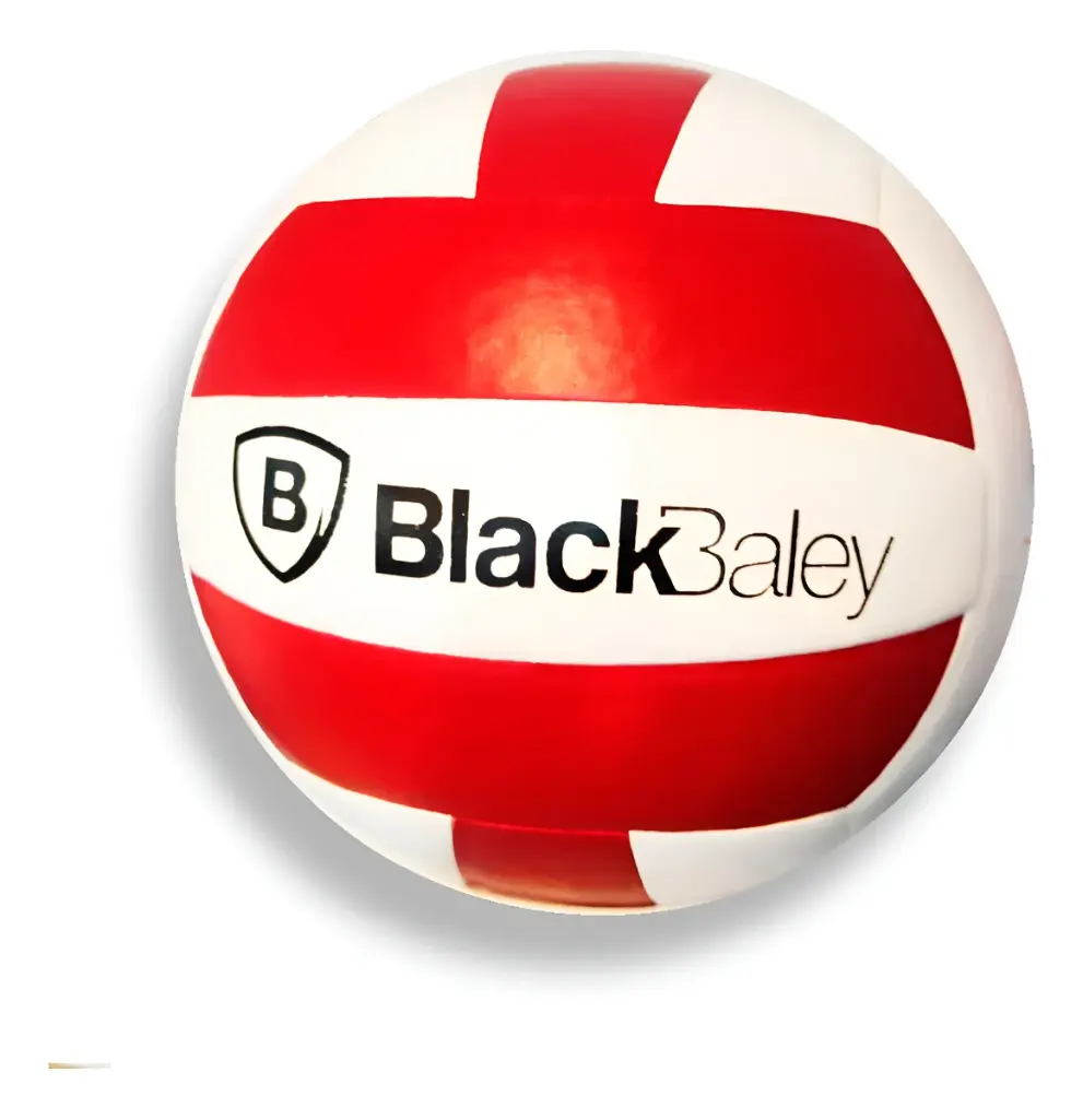 Pelota Voley BB4.webp