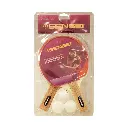 Set%20De%20Ping%20Pong%2020%20%282%20Paleta%20Y%203%20Pelota%29%20%7C%20Sensei%C2%AE