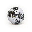 leopard6.webp