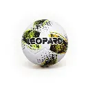 leopard5.webp