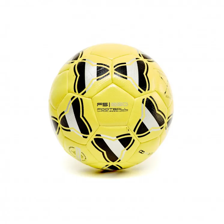 PELOTA DE FUTBOL DINASTY THERMO SELLO N5