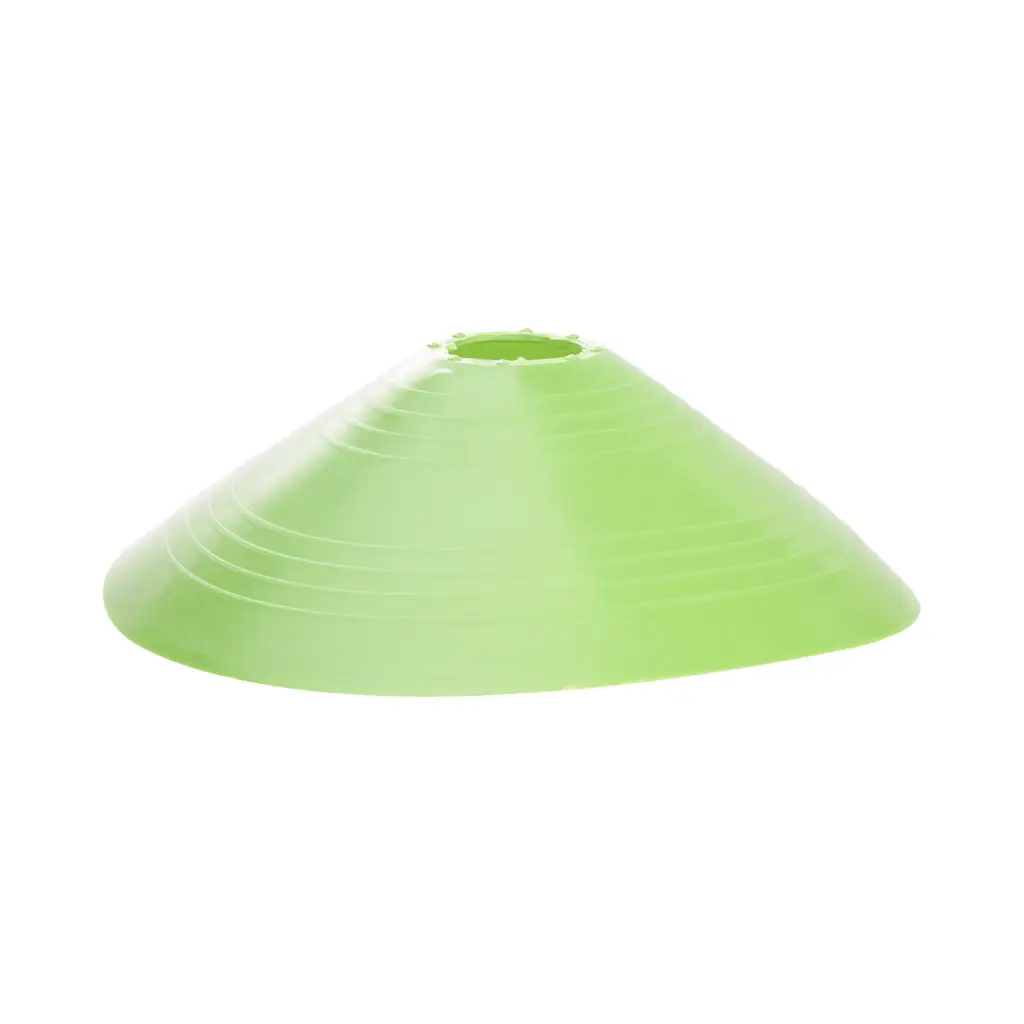 CONO TORTUGA COLOR