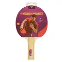 Paleta De Ping Pong 1 Star | Sensei