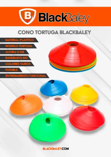 [63] CONO TORTUGA COLOR