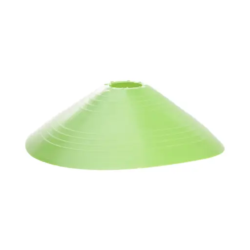 [63] CONO TORTUGA COLOR